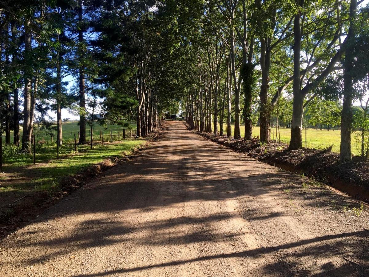 Blackwattle Farm Beerwah Cameră foto