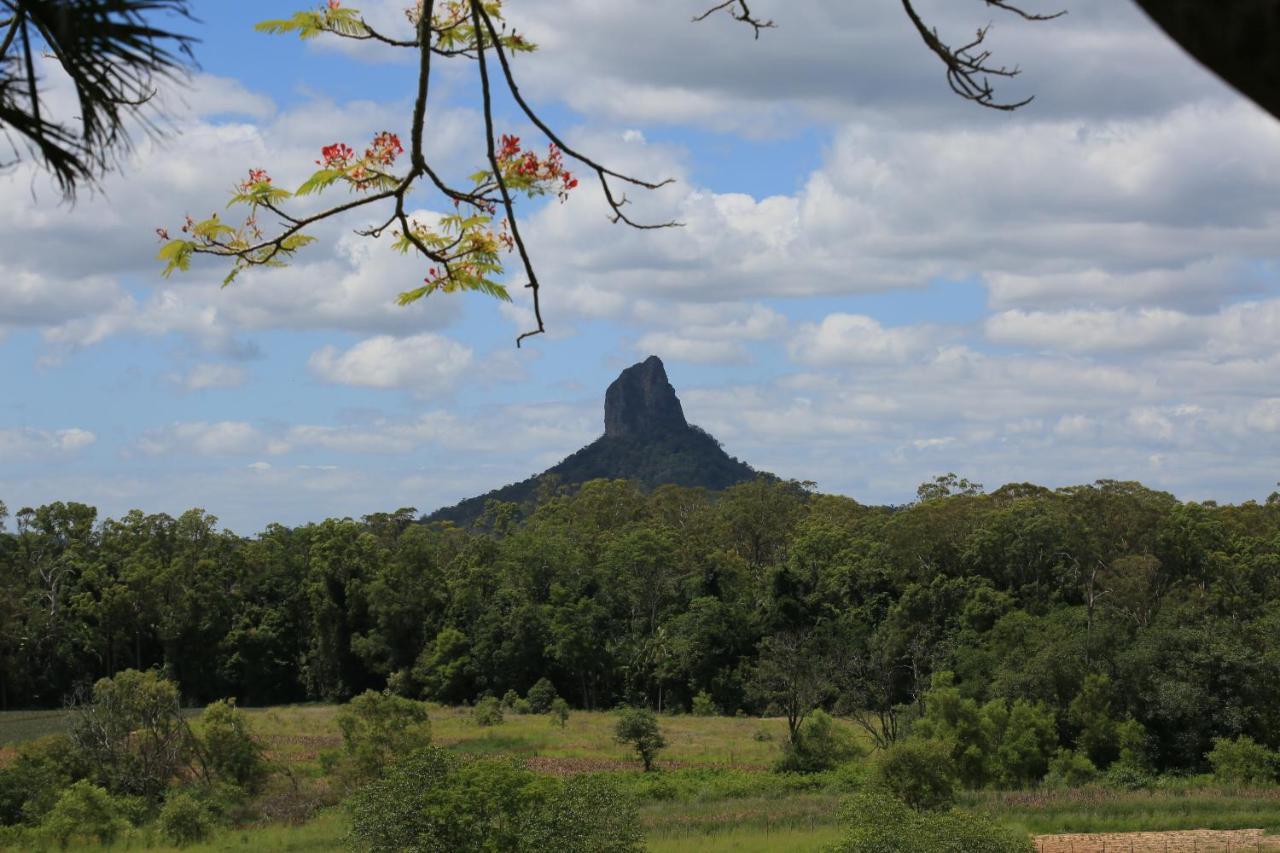 Blackwattle Farm Beerwah Cameră foto