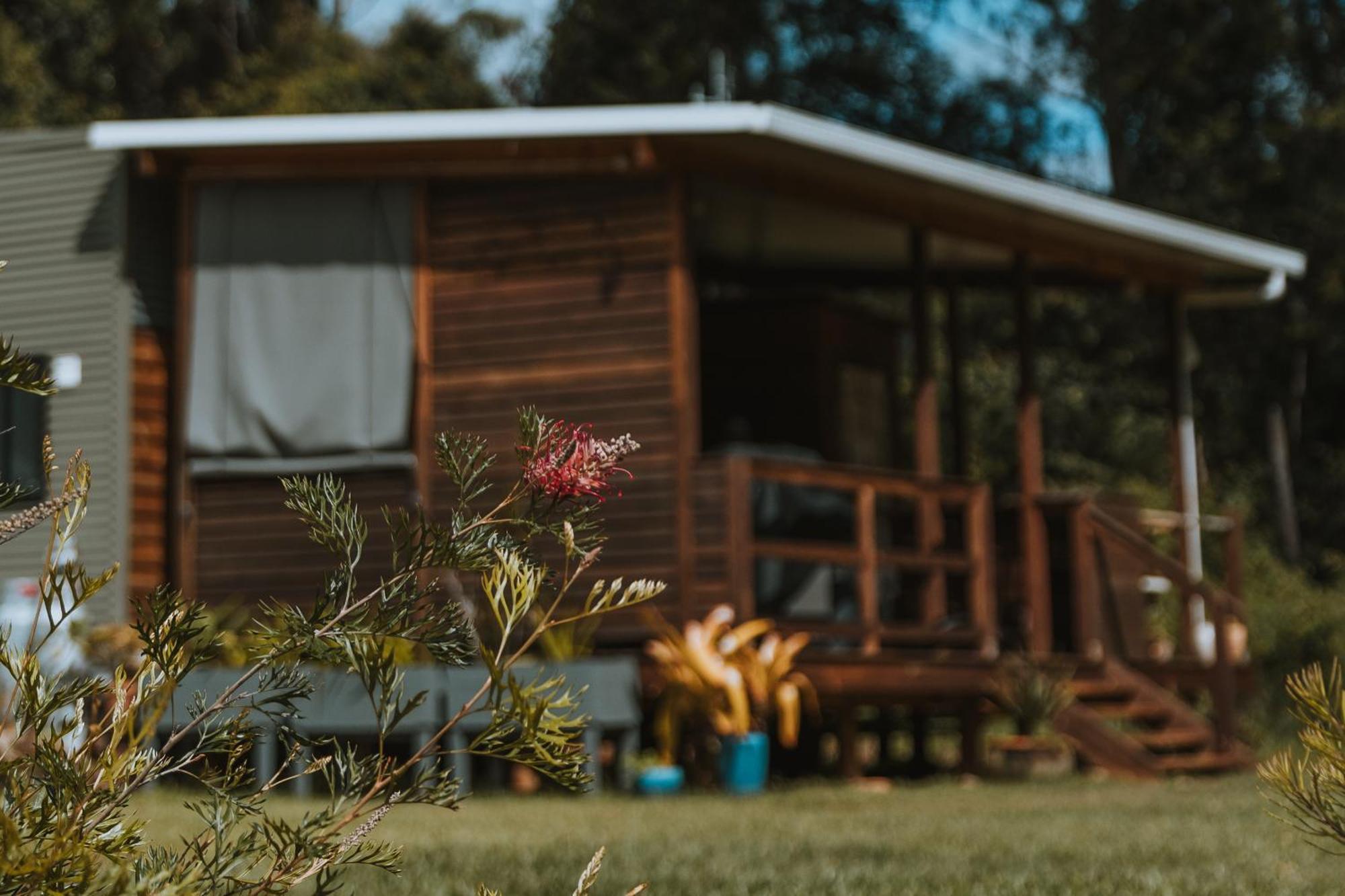 Blackwattle Farm Beerwah Exterior foto