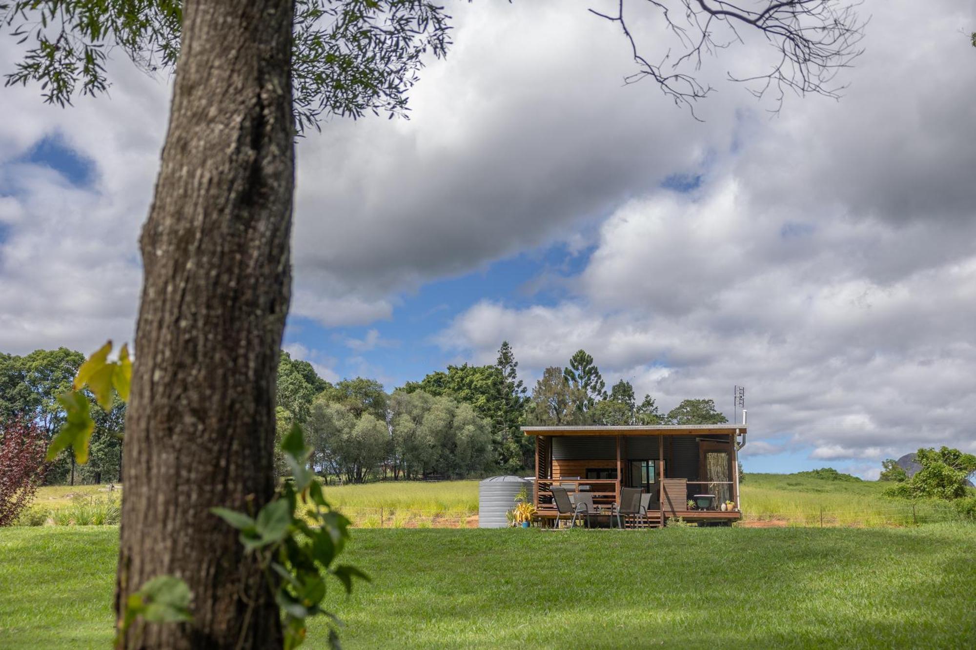 Blackwattle Farm Beerwah Cameră foto